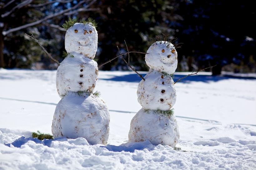 超美冬季雪人图片大全