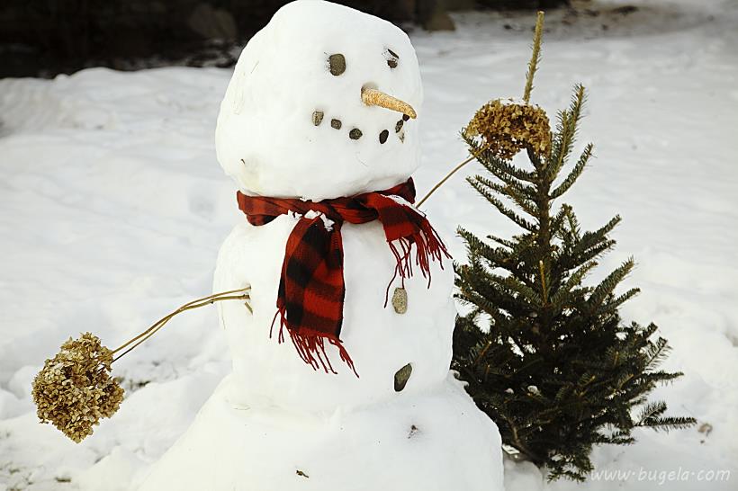 超美冬季雪人图片大全