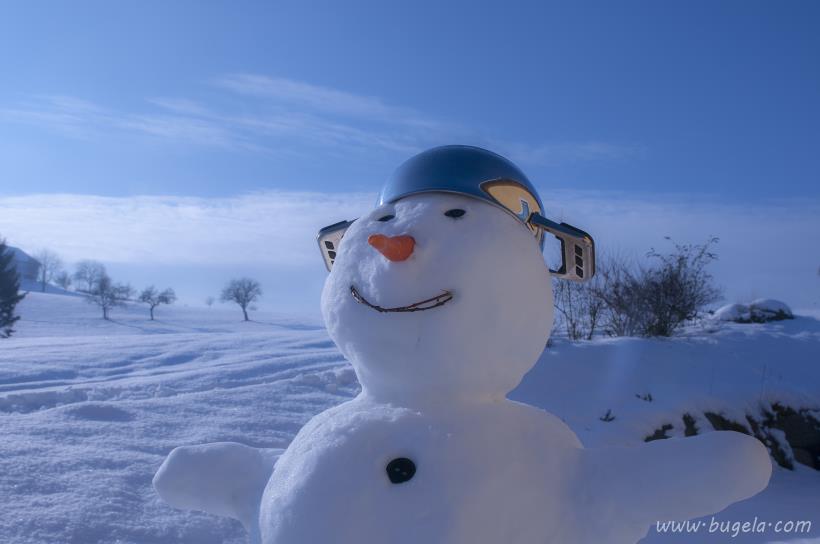 超美冬季雪人图片大全