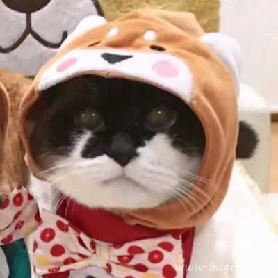 一左一右男女情头伴侣可人头像图片