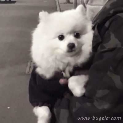 女友不是人系列情头头像图片