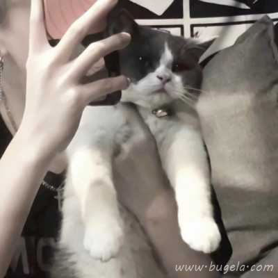 女友不是人系列情头头像图片