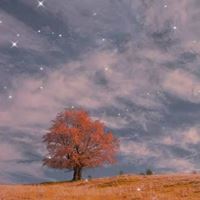 2021好看的头像图片风景 2021头像风景图片