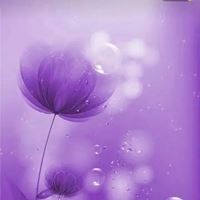 紫色花的头像微信头像图片
