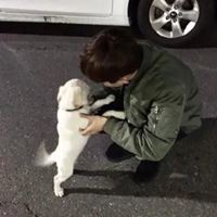 男生头像真人抱小动物 男生头像抱宠物的帅气