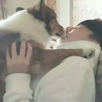男生抱宠物头像大全_抱着宠物的动漫男生头像高清图片