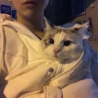 男生抱宠物头像大全_抱着宠物的动漫男生头像高清图片