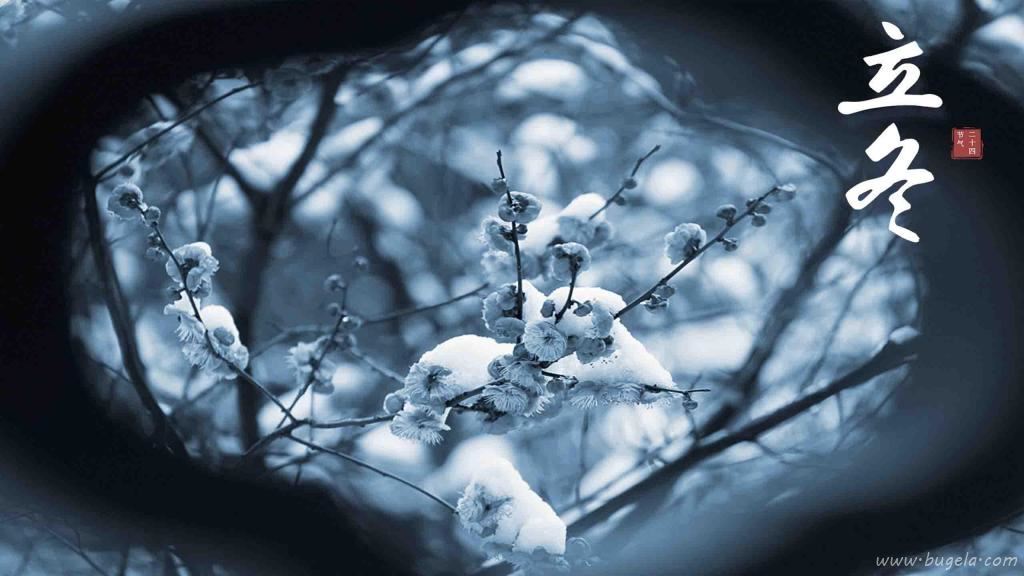 二十四节气立冬之唯美江南雪景图片