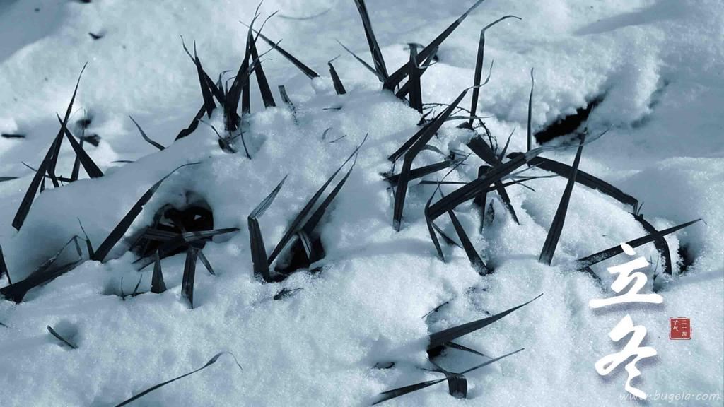 二十四节气立冬之唯美江南雪景图片
