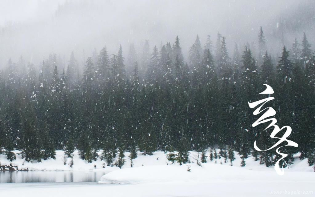 传统节日立冬优美的雪景图片