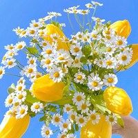 夏日头像小清新图片-头像夏天唯美图片大全