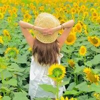 夏日头像小清新图片-头像夏天唯美图片大全