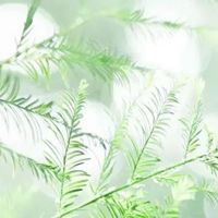 夏日头像小清新图片-头像夏天唯美图片大全