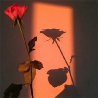 最招财最吉祥的风景图片_最招财最顺利的图片风景