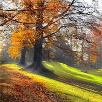 最招财最吉祥的风景图片_最招财最顺利的图片风景