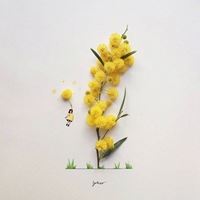 简约清新的头像 清新图片简约唯美头像