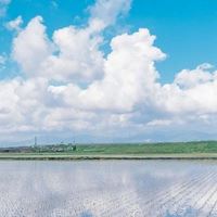 头像动漫风景唯美（宫崎骏唯美壁纸）