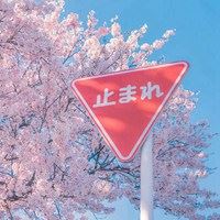 头像动漫风景唯美（宫崎骏唯美壁纸）