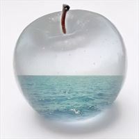 苹果透明头像图片 iphone微信透明头像