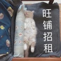qq说说头像旁边的字怎么还改_qq说说头像旁边的字怎么还改