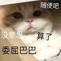 qq说说头像旁边的字怎么还改_qq说说头像旁边的字怎么还改