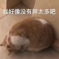 qq说说头像旁边的字怎么还改_qq说说头像旁边的字怎么还改