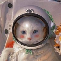 情侣头像可爱一点_我的女友不止可爱呢情侣头像