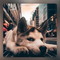 头像男生简短好听（头像男生简短好听）