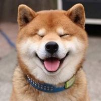 非常开心的头像_看起来很开心的头像