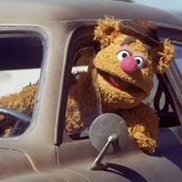 非常开心的头像_看起来很开心的头像