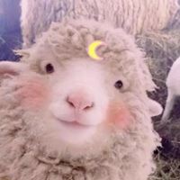 非常开心的头像_看起来很开心的头像