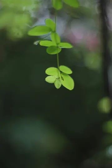 下雨天动漫头像-下雨了动漫头像