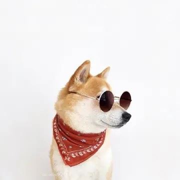 非常帅气的头像|全网最帅头像