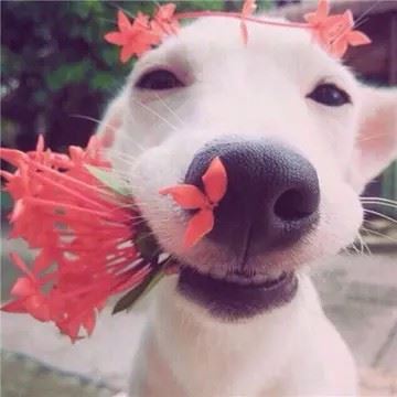 小财迷头像-小财迷微信头像图片