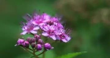 适合领导的头像 适合领导的微信头像