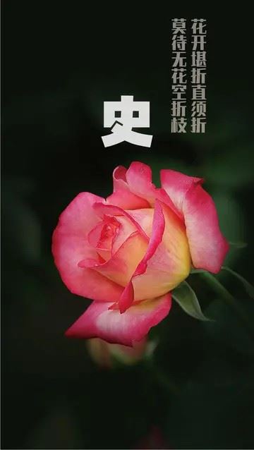 水晶玫瑰花图片|玫瑰花头像图片大全唯美
