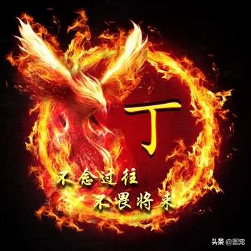 浴火凤凰头像图片吉祥吗|火凤凰的头像