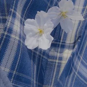 淡蓝色的头像女头|纯淡蓝色头像
