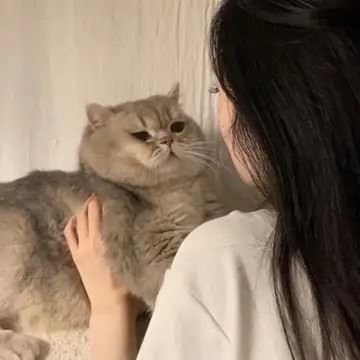 烦恼的头像_烦恼的头像动漫