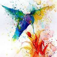 色彩鲜明的头像_色彩鲜艳的头像