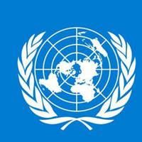 联合国头像图片|怎么把微信头像加上国旗