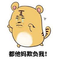 肉团生肖小老虎（老虎生肖卡通图片）
