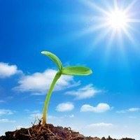 家长喜欢用的微信头像（家长会用的微信头像）