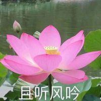 家长喜欢用的微信头像（家长会用的微信头像）