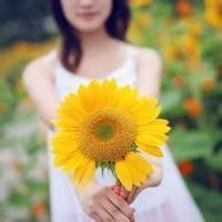 挡脸图片女生头像 微信头像挡脸美女图