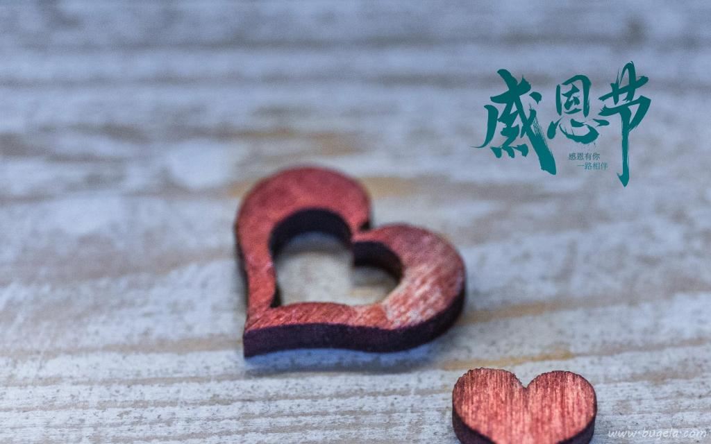 感恩节唯美简单配图图片