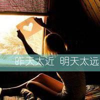 有向日葵的头像女生|向日葵头像图片清新女生唯美
