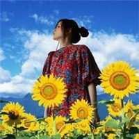 带向日葵的女生头像|向日葵微信头像图片女孩