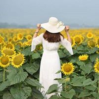 女生在花海的背影唯美图片-背影头像女生唯美漂亮侧面花海