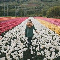 女生在花海的背影唯美图片-背影头像女生唯美漂亮侧面花海